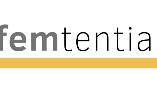 FEMtential – Weibliche Potentiale im IT-Mittelstand – Neues BITMi-Projekt gestartet